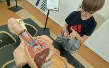 Chłopiec stoi przy modelu anatomicznym człowieka.