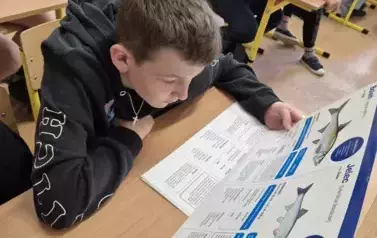 Chłopiec czyta inormacje zamieszczone na plakacie