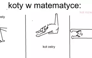 Koty matematyczne