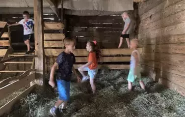 Pięcioro dzieci chodzi w stodole po sianie