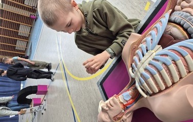 Chłopiec stoi przy modelu anatomicznymczłowieka