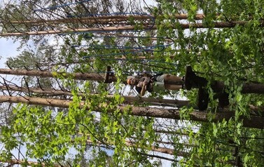 Dziewczynka szykuje się do przejścia przez przeszkodę z lin zawieszoną wysoko między drzewami
