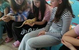 Trzy dziewczynki siedzą na krzesełkach. Jedna z nich trzyma agamę brodatą.