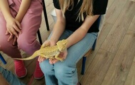 Dziewczyna w okularach, ubrana w czarną koszulkę z kr&oacute;tkim rękawem trzyma w dłoniach jaszczurkę