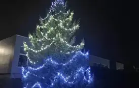 Zdjęcie oświetlonego drzewka bożonarodzeniowego wykonane nocą