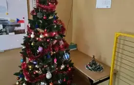 Kolorowa choinka w sali lekcyjnej