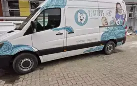 Dentobus