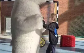 Biały miś tańczy z chłopcem