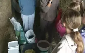 Pani opowiada dziewczynkom zgromadzonym wok&oacute;ł czym karmimy konie