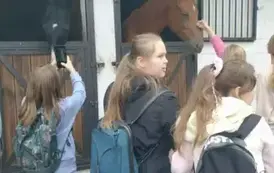 Dziewczynki głaszczą konia