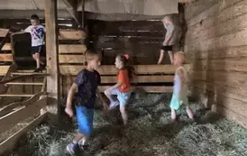 Pięcioro dzieci chodzi w stodole po sianie
