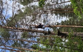 Chłopiec idzie po linie zawieszonej wysoko nad ziemią