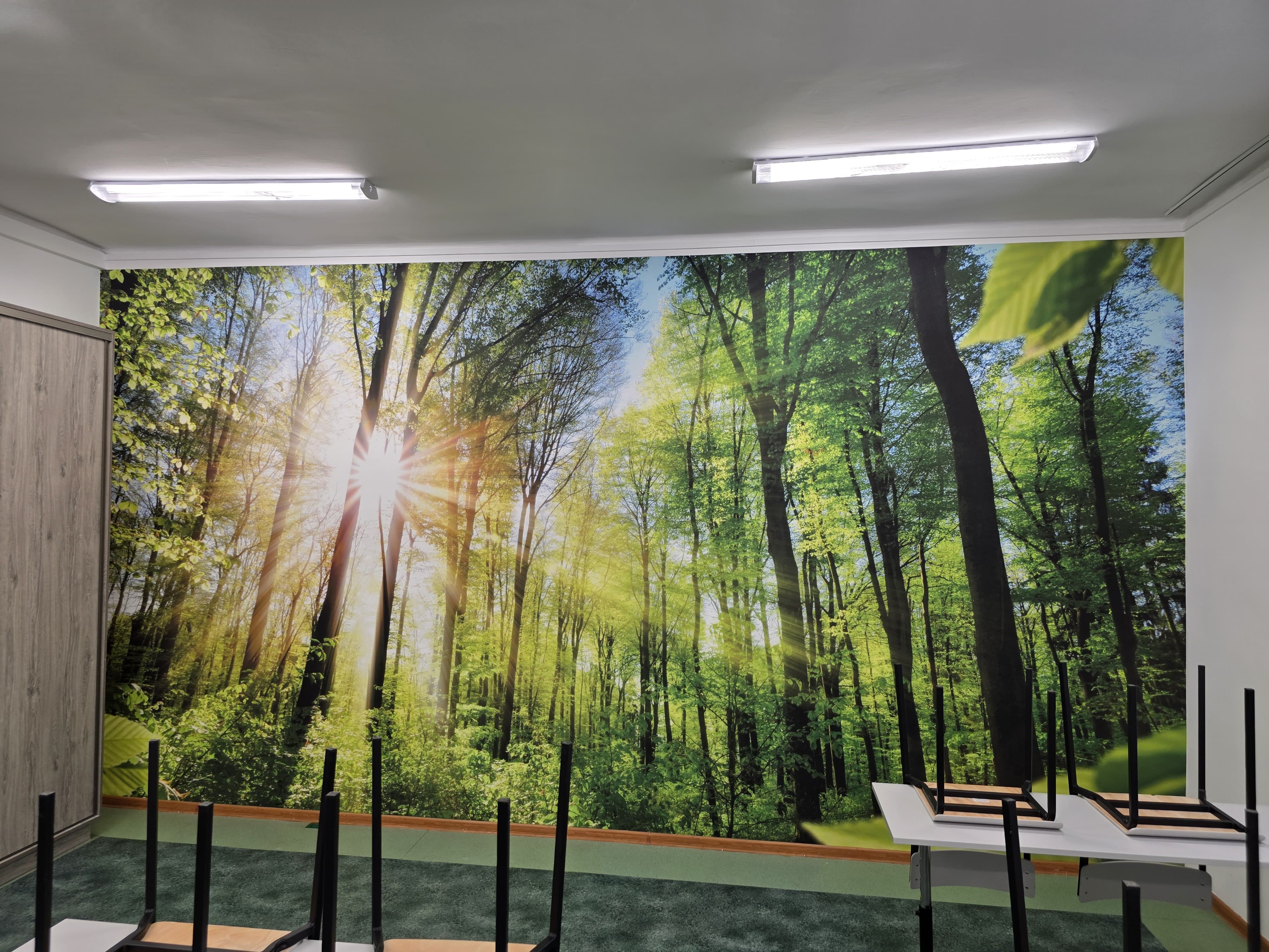 Fototapeta_przedstawiająca_las
